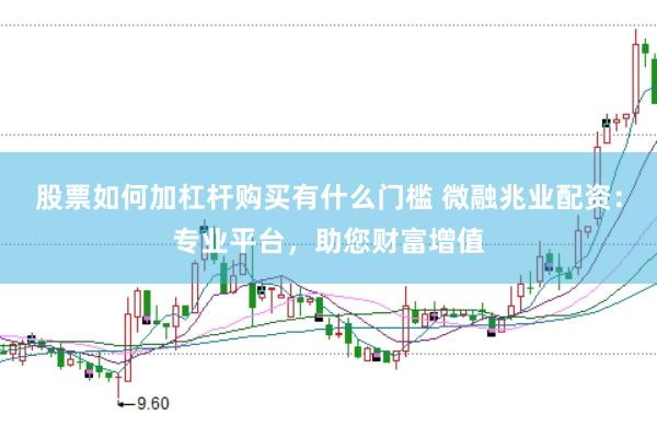 股票如何加杠杆购买有什么门槛 微融兆业配资：专业平台，助您财富增值