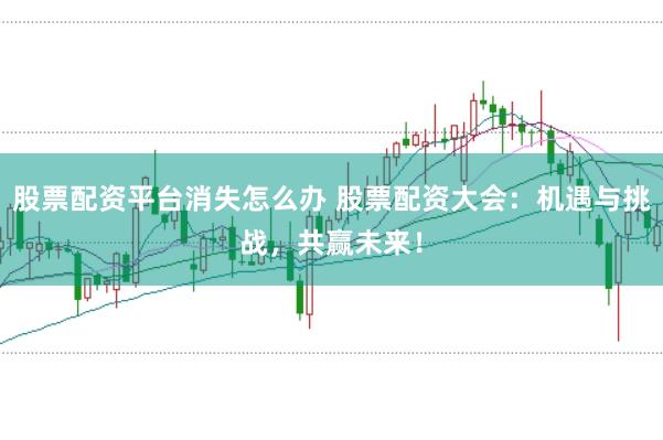 股票配资平台消失怎么办 股票配资大会：机遇与挑战，共赢未来！