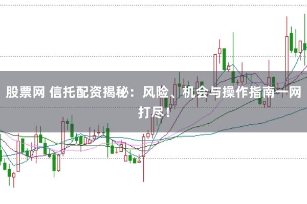股票网 信托配资揭秘：风险、机会与操作指南一网打尽！