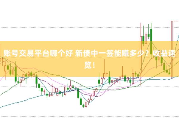 账号交易平台哪个好 新债中一签能赚多少？收益速览！