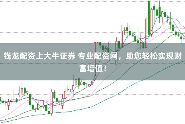 钱龙配资上大牛证券 专业配资网，助您轻松实现财富增值！