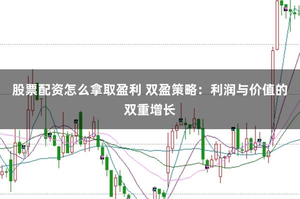 股票配资怎么拿取盈利 双盈策略：利润与价值的双重增长