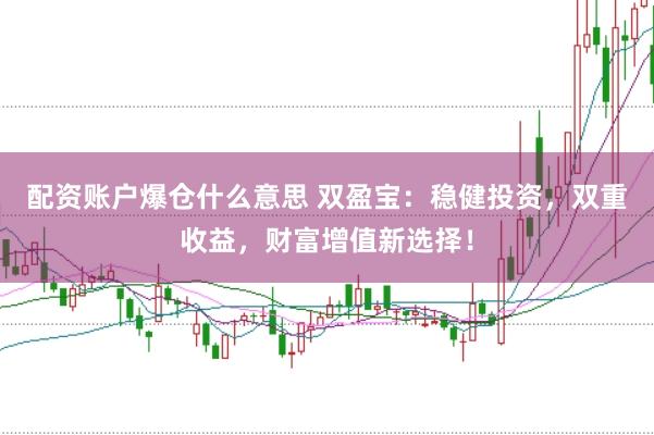 配资账户爆仓什么意思 双盈宝：稳健投资，双重收益，财富增值新选择！