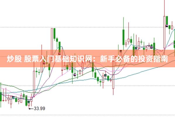 炒股 股票入门基础知识网：新手必备的投资指南