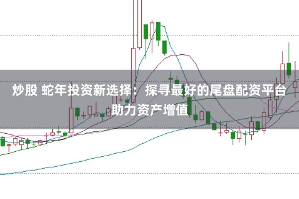 炒股 蛇年投资新选择：探寻最好的尾盘配资平台助力资产增值