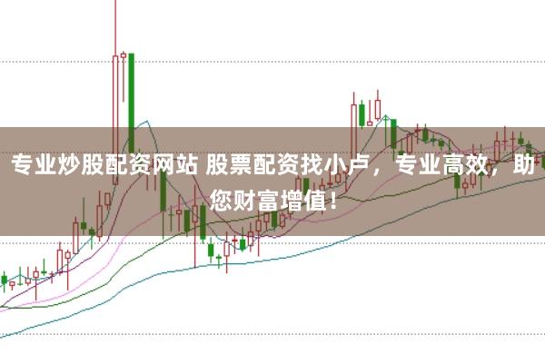 专业炒股配资网站 股票配资找小卢，专业高效，助您财富增值！