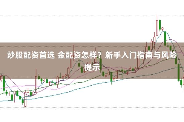 炒股配资首选 金配资怎样？新手入门指南与风险提示