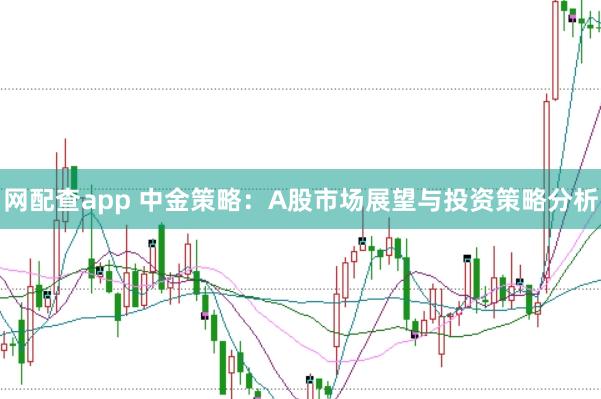 网配查app 中金策略：A股市场展望与投资策略分析