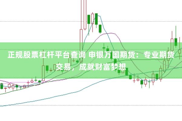 正规股票杠杆平台查询 申银万国期货：专业期货交易，成就财富梦想