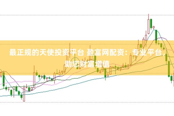 最正规的天使投资平台 盈富网配资：专业平台，助您财富增值
