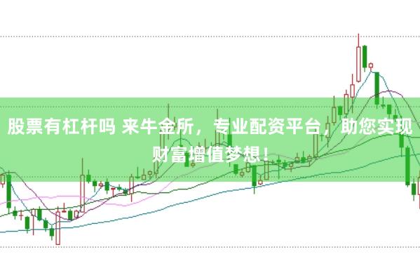 股票有杠杆吗 来牛金所,专业配资平台,助您实现财富增值梦想!