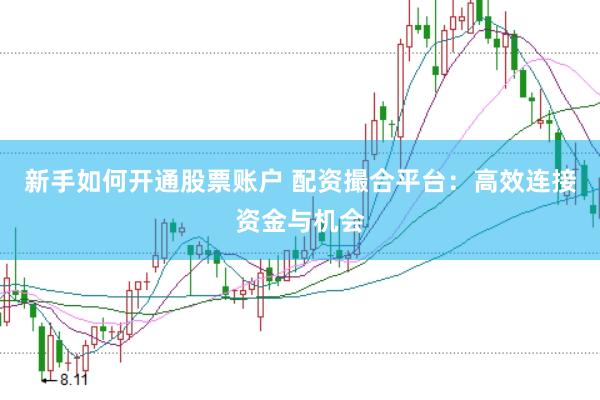 新手如何开通股票账户 配资撮合平台：高效连接资金与机会