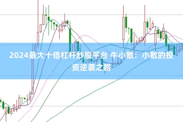 2024最大十倍杠杆炒股平台 牛小散：小散的投资逆袭之路